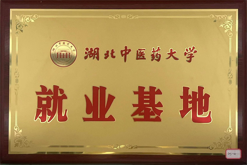 湖北中醫(yī)藥大學(xué)就業(yè)基地